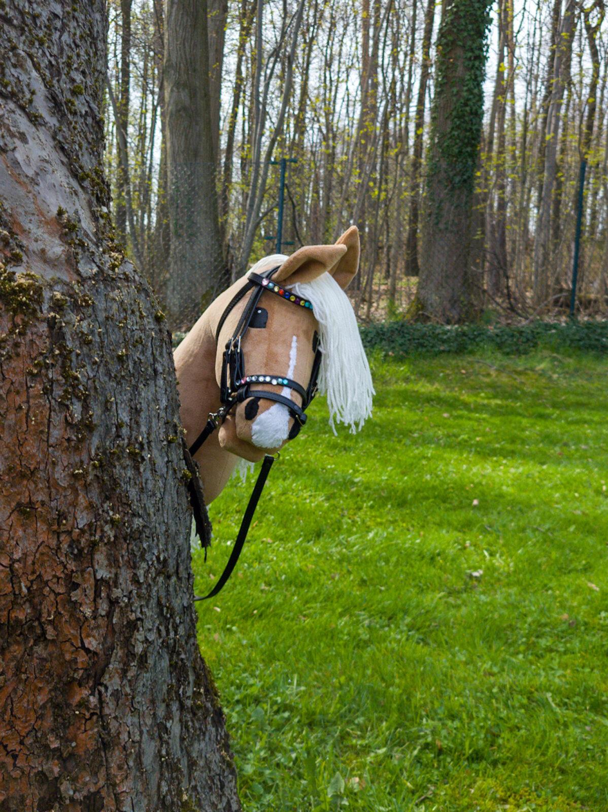 hobby horse za drzewem